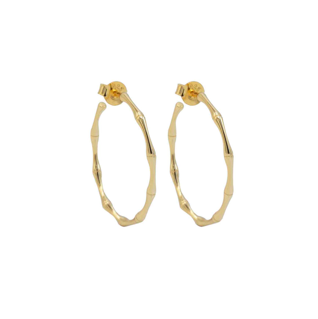 Close up of the bamboo hoops
